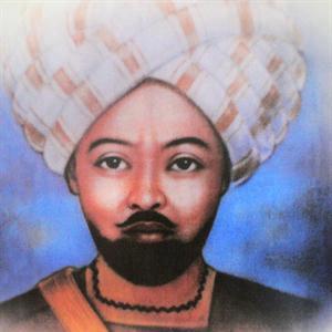 مئوية السلطان علي دينار